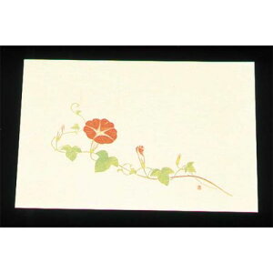 ԊORۘa lG̉ ڎO΂܂ƃN[i100j WSS-10  78/Ɩp/Vi/Ώۏi