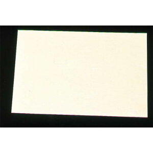 ԊORۘa lG̉ ڎO΂܂ƃN[i100j SAU-02 n I[V[Y/Ɩp/Vi/Ώۏi