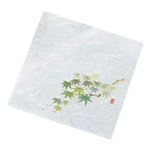 j[lG 4(100) NS-19 O[݂(57)/Ɩp/Vi/Ώۏi