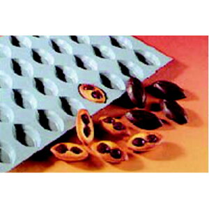 foC[ GXg[ ~j|[g 1854-60 yƖpzyzyvpz /e|X