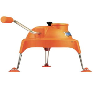 _CiN[v t[hXCT[(蓮)/Ɩp/Vi/