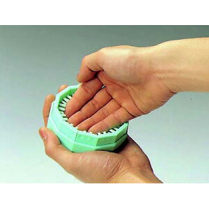 ܃uV No.555 ߂  /Ɩp/Vi/Ώۏi