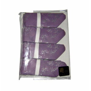 V ԏ(100) KO-Z05 VEu /Ɩp/Vi/Ώۏi