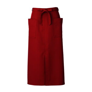 KAZEN \GGv APK493-81 C@Ɩp/Vi/Ώۏi