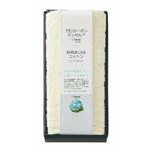 Z-30100 O[Xg[[(EYf)tFCX^I1/Ɩp/Vi/Ώۏi