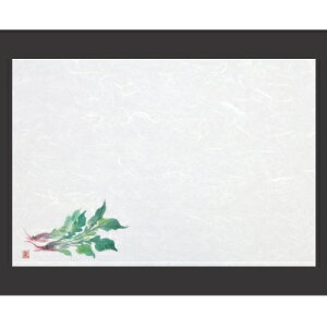 ~ 3a~}bg(100P)ق(11`2) 380 s260/Ɩp/Vi/Ώۏi