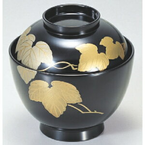 zo ic^zoc^{hG /Ɩp/Vi/Ώۏi