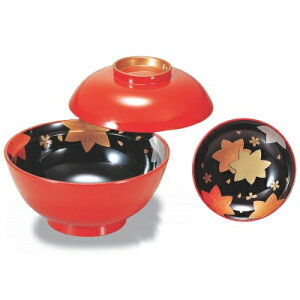 ϕo 4.5ϕocoԏtH /Ɩp/Vi/Ώۏi