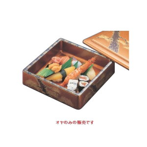 i VpD.XnԏnVAWI 205 s205 62/Ɩp/Vi/Ώۏi