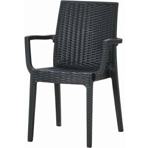 Ɩp֎q Xe `FA[ iItj ubNi11234j DAFNE 2/Ɩp/Vi/