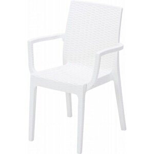 Ɩp֎q Xe `FA[ iItj zCgi12516j DAFNE 2/Ɩp/Vi/