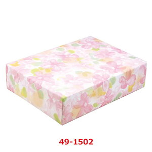  A[ ˔ 49-1502/50ܓ/Ɩp/Vi