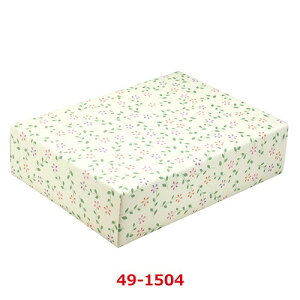  veBt[ ˔ 49-1504/50ܓ/Ɩp/Vi