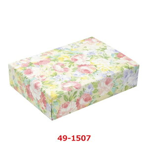  y ˔ 49-1507/50ܓ/Ɩp/Vi