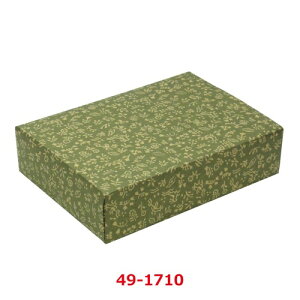  򒹗 ˔ 49-1710/50ܓ/Ɩp/Vi