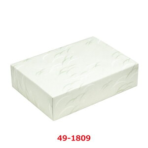  Âё ˔ 49-1809/50ܓ/Ɩp/Vi