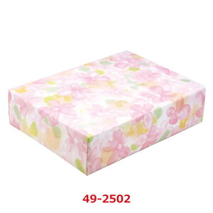  A[ S 49-2502/50ܓ/Ɩp/Vi