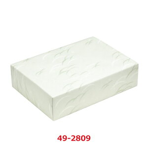  Âё S 49-2809/50ܓ/Ɩp/Vi