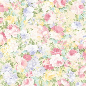 [^Cv y STCY ԕ 49-8557(1{10)/Ɩp/Vi/Ώۏi