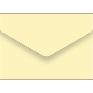 bZ[WJ[h N[/20×5/Ɩp/Vi/Ώۏi