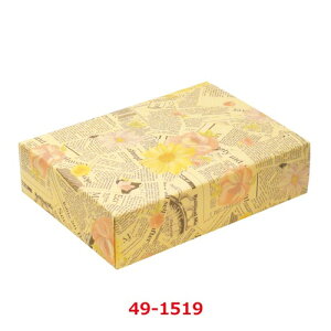  ^CYt[ ˔ 49-1519/50ܓ/Ɩp/Vi