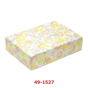  [Y ˔ 49-1527/50ܓ/Ɩp/Vi