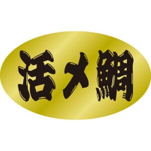 SLx Y/500×10/Ɩp/Vi/Ώۏi