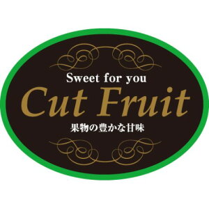 SLx Jbgt[c/500×10/Ɩp/Vi/Ώۏi