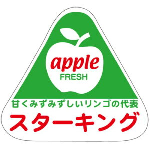 SLx X^[LO/500×10/Ɩp/Vi/Ώۏi