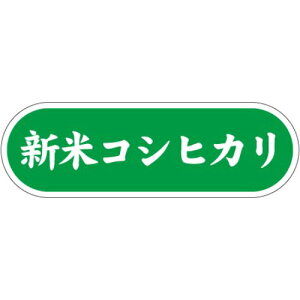 SLx VăRVqJ/1000×10/Ɩp/Vi/