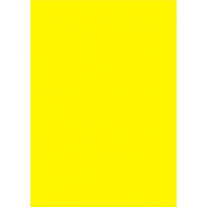 PCR[|X^[ B4  /10×1/Ɩp/Vi/Ώۏi