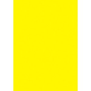 PCR[|X^[ A3  /100×1/Ɩp/Vi/Ώۏi