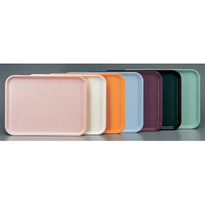 ~H |vg[ ~(V{t)427×313×20(mm)/ƖpH/Vi/Ώۏi