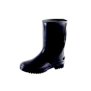 Cgy  25.5cm/Ɩp/Vi/e|X