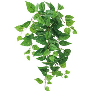 GL-5372 �{�E�G��UV�|�g�X�n���M���O�u�b�V��/�S��68cm �t��4.5�`11cm/�Ɩ��p/�V�i/�����ʓr����