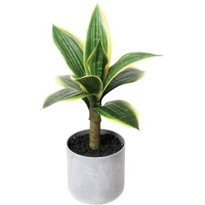 GLA-1599 30cm�T���X�x���A�|�b�g/�S��30cm ��23cm ����9cm×H9.5cm/�Ɩ��p/�V�i/�����ʓr����