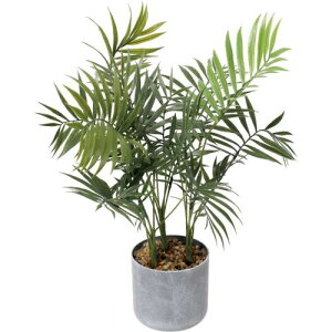 GLA-1609 45cm�p�[�����[�t�|�b�g/�S��45cm ��54cm ����11cm×H10.5cm/�Ɩ��p/�V�i/�����ʓr����