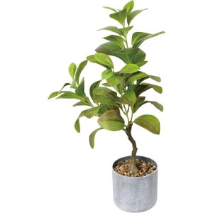 GLA-1610 50cm���[�t�|�b�g/�S��50cm ��28cm ����11cm×H10.5cm/�Ɩ��p/�V�i/�����ʓr����