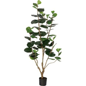 GLP-1555KK �V�[�u���[�v/�S��170cm ��75cm �t :8.5 �` 15cm ��:H14cm×��17cm/�Ɩ��p/�V�i/�����ʓr����