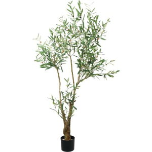 GLP-1560 180cm�I���[�u/�S��170cm ��105cm ����15.5cm×H14.5cm/�Ɩ��p/�V�i/�����ʓr����