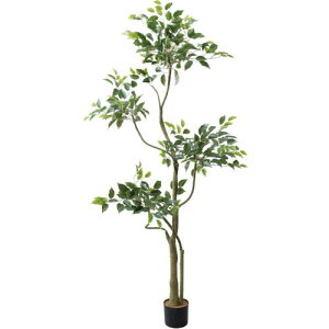 GLP-1580 180cm�x���W���~���c���[/�S��180cm ��80cm ����13cm×H12cm/�Ɩ��p/�V�i/�����ʓr����