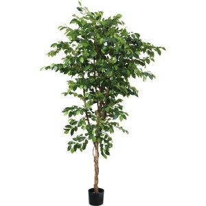 GLP-1581 210cm�x���W���~��/�S��210cm ��120cm ����17cm×H14.5cm/�Ɩ��p/�V�i/�����ʓr����
