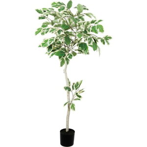 GLP-1595 160cm�t�B�J�X�A���e�V�}/�S��210cm ��90cm(����17cm×15cm)/�Ɩ��p/�V�i/�����ʓr����