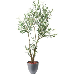 GLPS-1560A/180cm�I���[�u �S��180cm ��105cm ���T�C�Y:H35�`36cm W31.5�`37.5cm/�Ɩ��p/�V�i/�����ʓr����