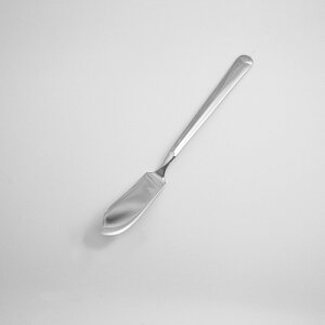 yXܒԁz~l o^[iCt 12/Ɩp/Vi/Ώۏi