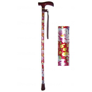 A~2i ԕ(Obv)/ԕu[/Ɩp/Vi/Ώۏi