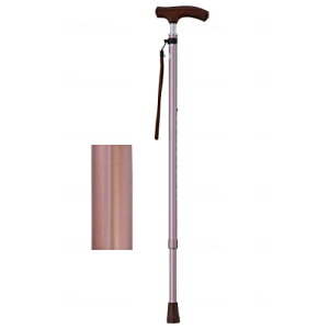 CtXebL XlbNLkX^Cv(n)/CuE/Mtg{bNXdl/Ɩp/Vi/Ώۏi