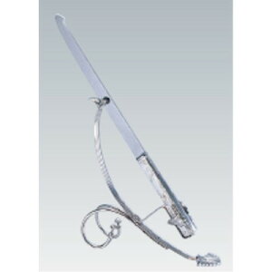 Ukg EFfBOP[LiCtX^h/Ɩp/Vi/ /e|X