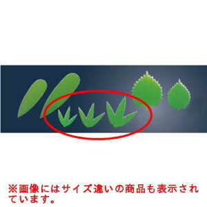 ĝ o Oi1000j /vp/Vi /Ώۏi