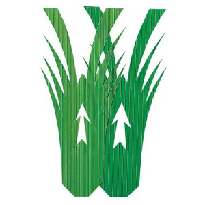 ĝ o i1000j CV^2/vp/Vi /Ώۏi